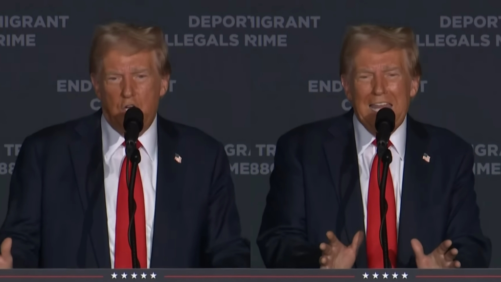 Trump Reveals Anti Immigrant Plan Based On Law Used To Incarcerate