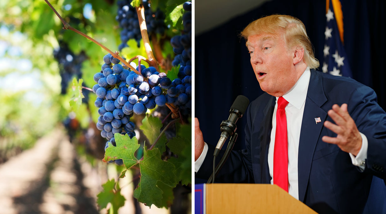Trump Says ‘Hire American’, Trump Vineyard Requests More Foreign Worker Visas