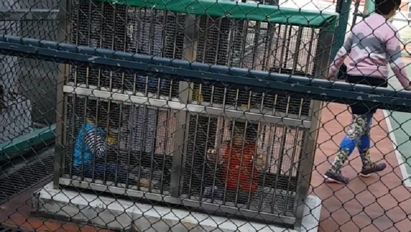 Hong Kong Woman Cages Two Toddlers in Tiny Lockers While She Goes Jogging