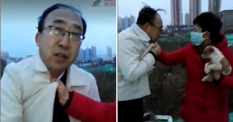 Badass Chinese Woman Punches Man in the Face for Attempting to Kill Puppy