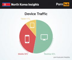 Pornhub Reveals the Kind of Porn North Koreans Like to Watch