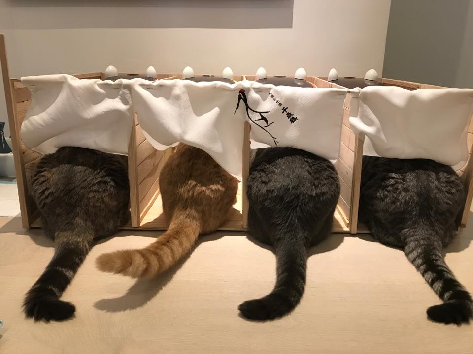 Mochi and Meatball