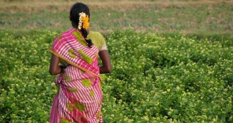 Indian Woman Granted Divorce From Husband After He Refused Buy a Toilet for 5 Years