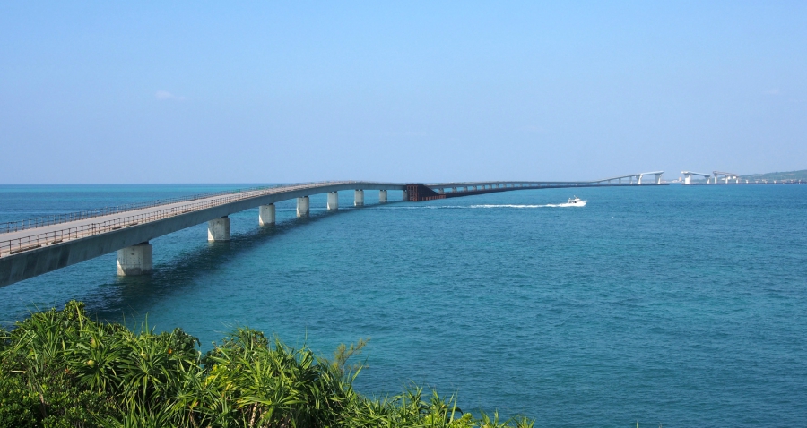 Japanese Man Falls Off Bridge to His Death After Proposing to His Girlfriend
