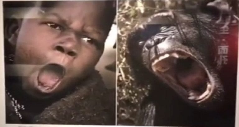 Chinese Museum Sparks Outrage For ‘Comparing’ African People to Wild Animals in Art Exhibit