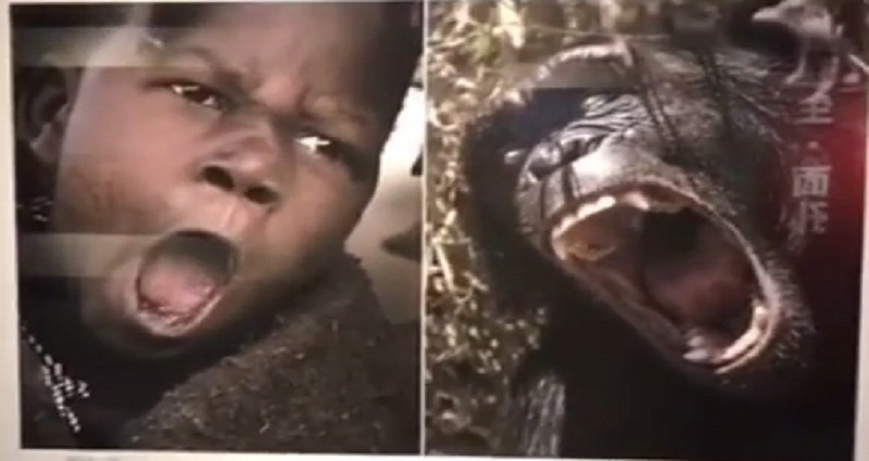 Chinese Museum Sparks Outrage For ‘Comparing’ African People to Wild Animals in Art Exhibit