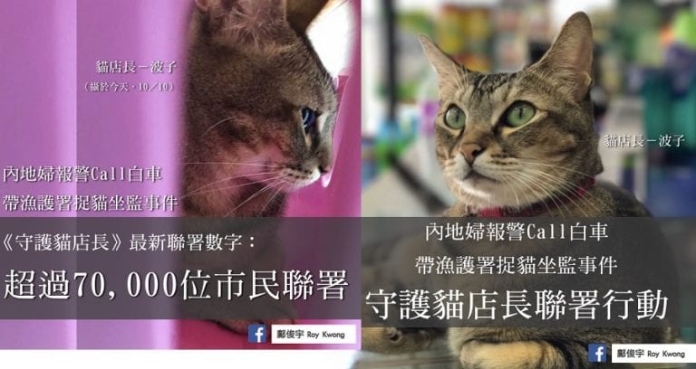 70,000 People in Hong Kong Sign Petition to Save Pharmacy Cat Accused of Scratching Boy