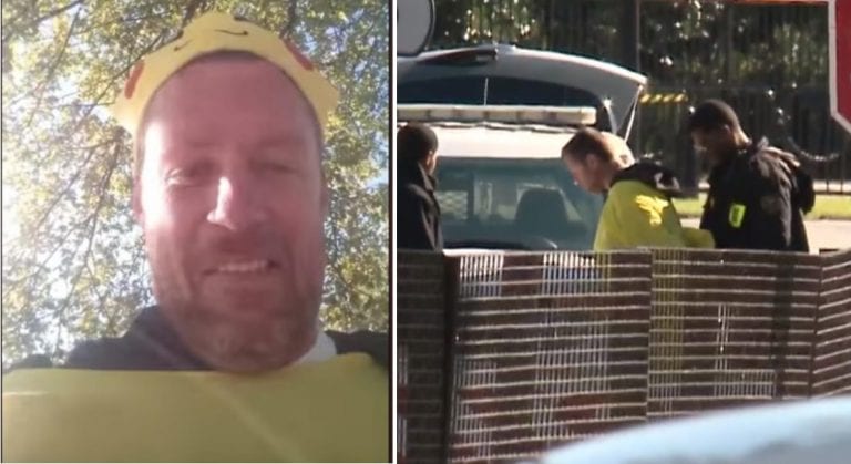 Man in Pikachu Costume Arrested After Trying to Jump Over White House Fence for YouTube Fame