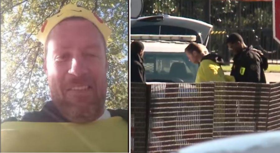 Man in Pikachu Costume Arrested After Trying to Jump Over White House Fence for YouTube Fame