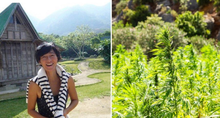 japan history hemp cannabis