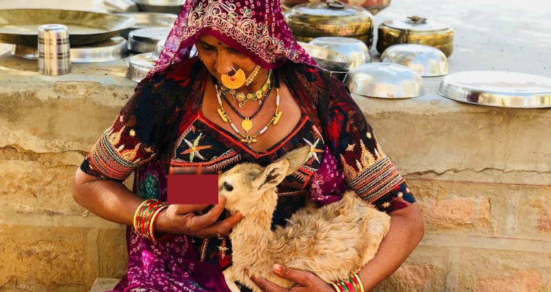 indian women breast feeding animals