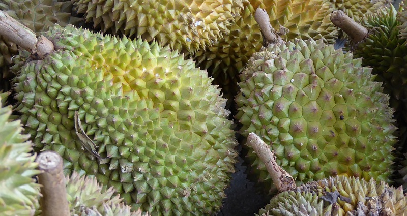 Malaysia Is Now Investigating If Durians Can Improve Your Sex Life