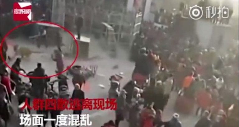 Traveling Circus Accidentally Unleashes Angry Tiger on Unsuspecting Crowd in China