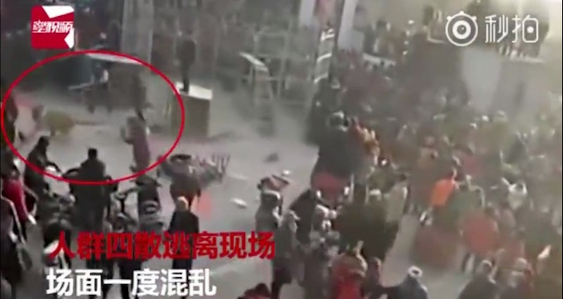 Traveling Circus Accidentally Unleashes Angry Tiger on Unsuspecting Crowd in China