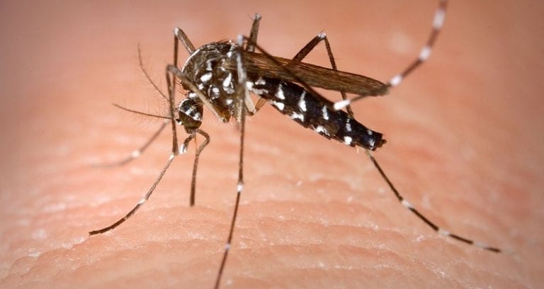 French Company Injects 733,000 Filipino Children With Potentially Dangerous Virus Vaccine