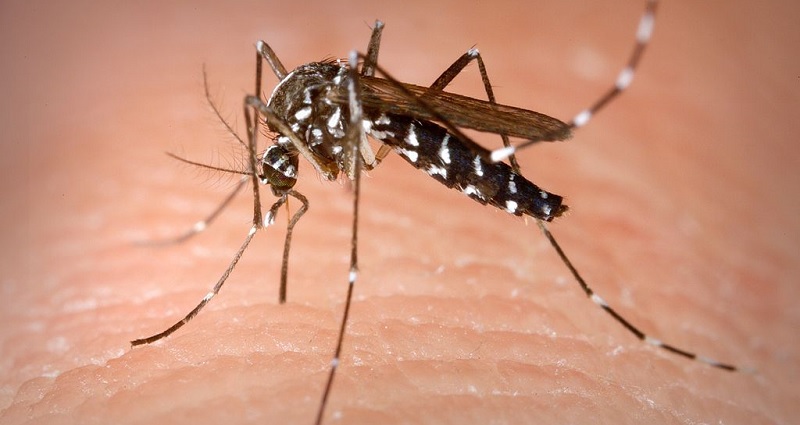 French Company Injects 733,000 Filipino Children With Potentially Dangerous Virus Vaccine