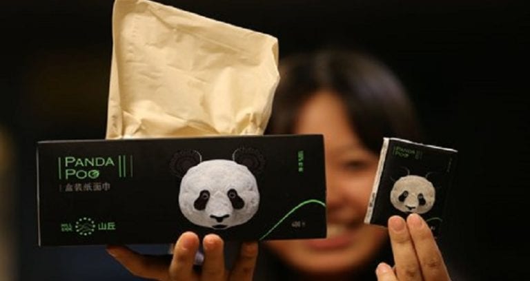 Chinese Company Sells Tissue Paper Made From Panda Poop