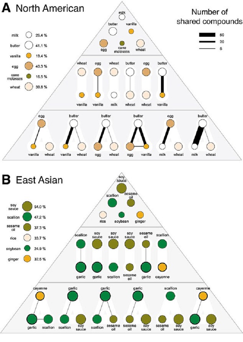 Science Explains Why Asian Food Tastes So Different From Western Food 