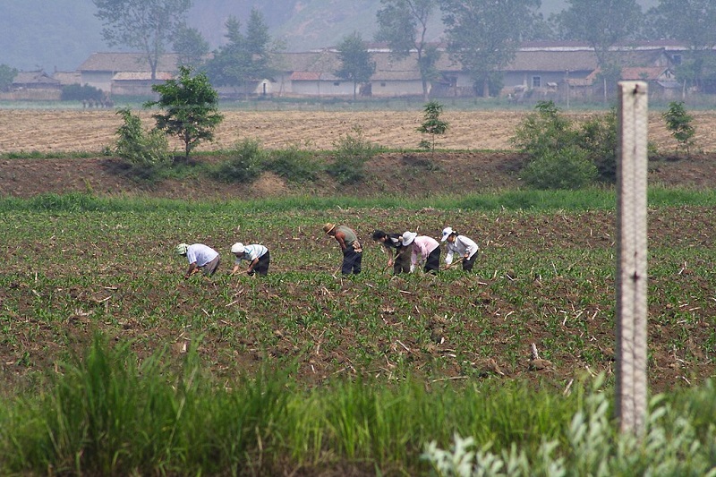 North Korea