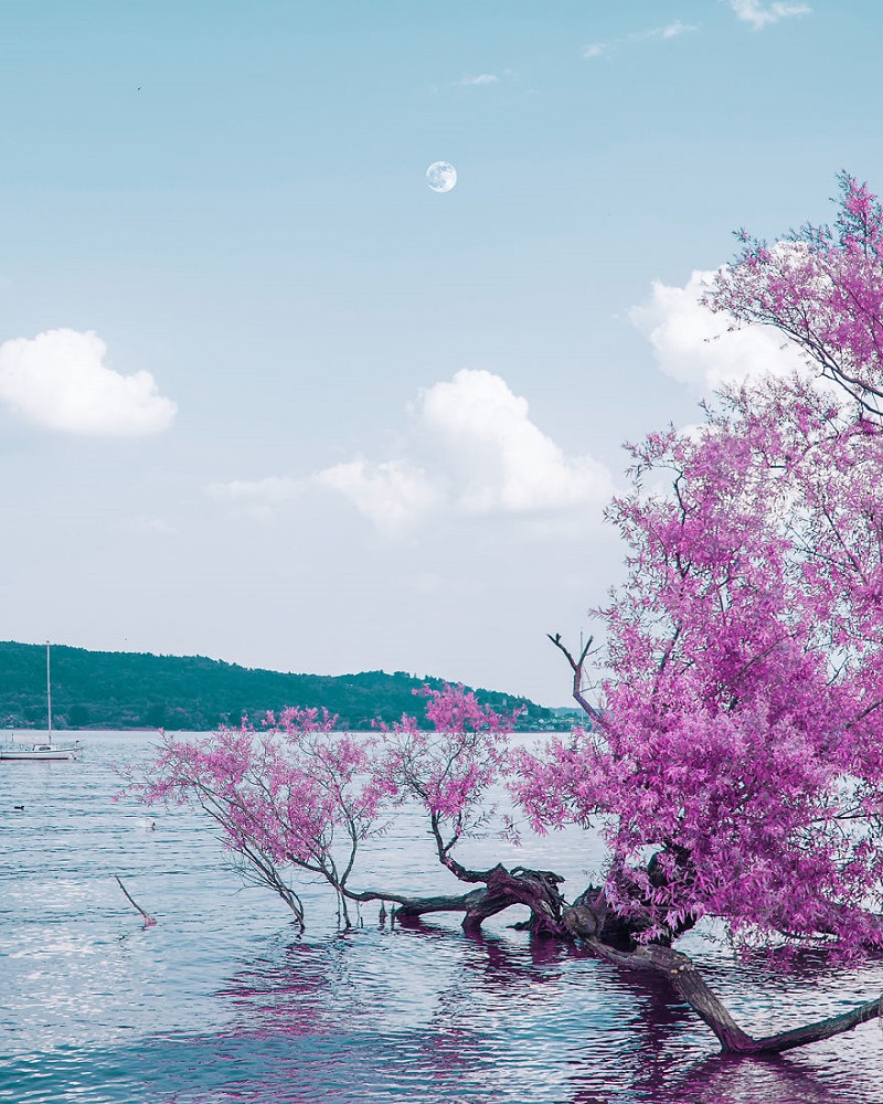 vaporwave