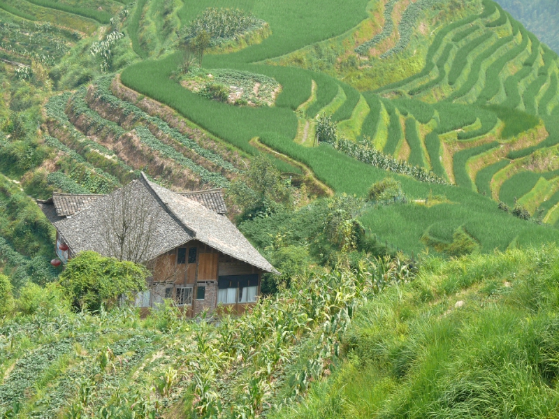 chinas witchex communities