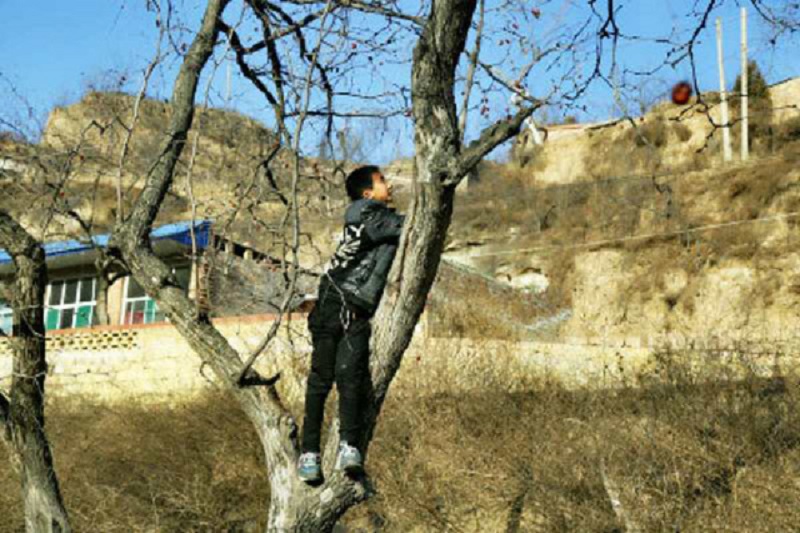 boy china breadwinner support family