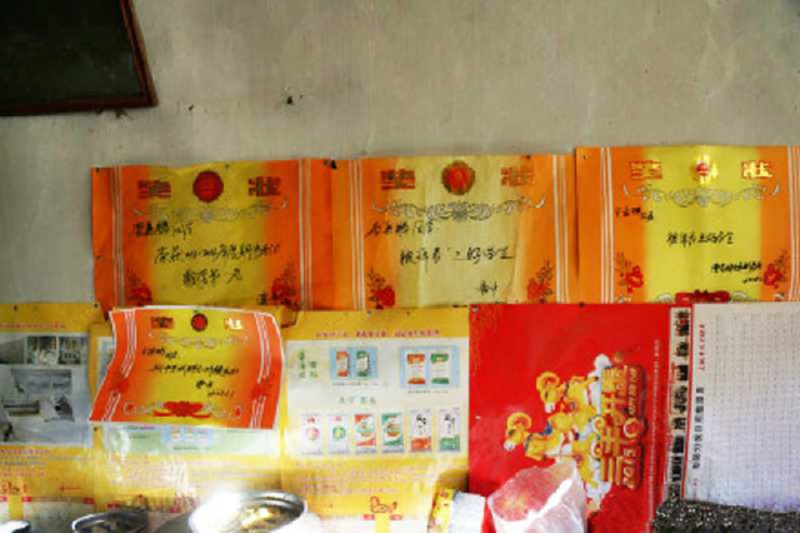 boy china breadwinner support family