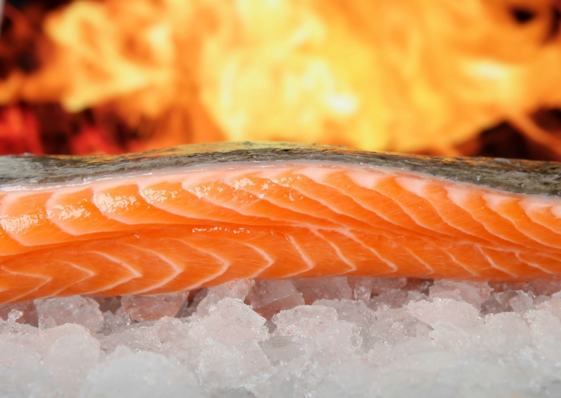 raw salmon tapeworm in japan