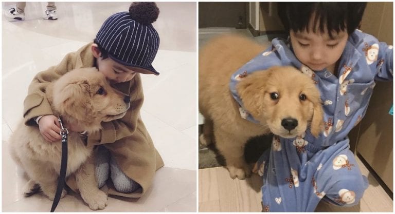 Adorable Korean Boy and His Golden Retriever Are Inseparable
