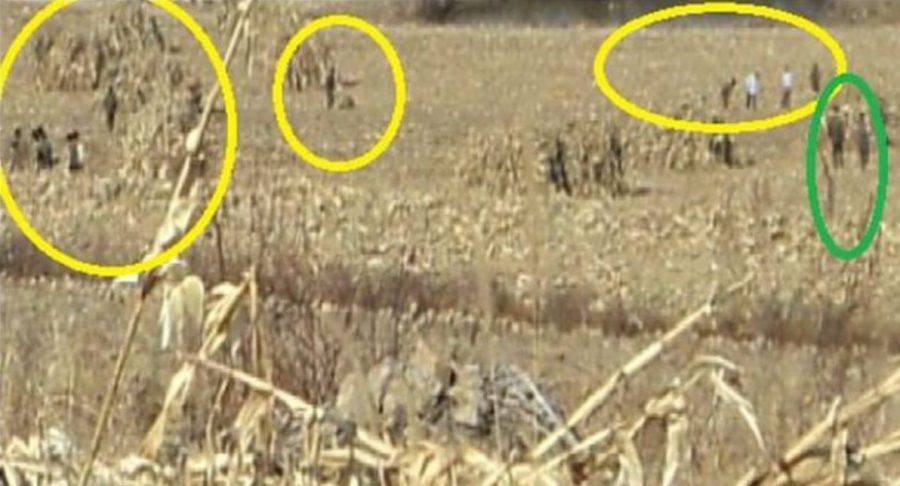 Rare North Korean Photos Reportedly Show Farmers Defying Soldiers Pillaging Their Food