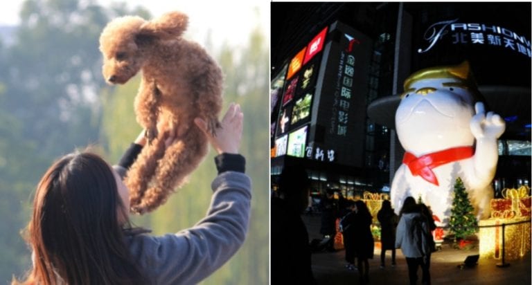 What Being Born in the ‘Year of the Dog’ Means