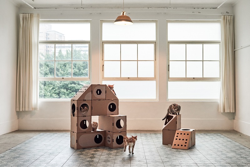 cat furniture