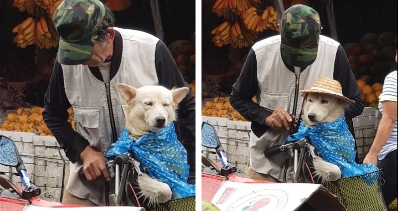 Elderly Filipino Adorably Dresses Up Dog To Protect Him from the Rain