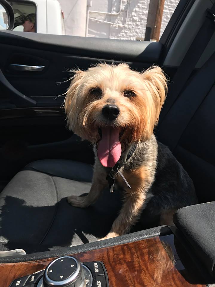 wag
