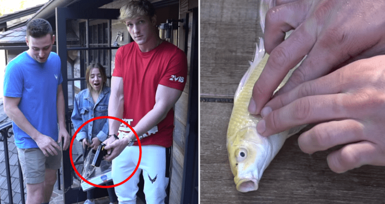 Logan Paul Has Finally Done Something Unforgivable in YouTube’s Eyes