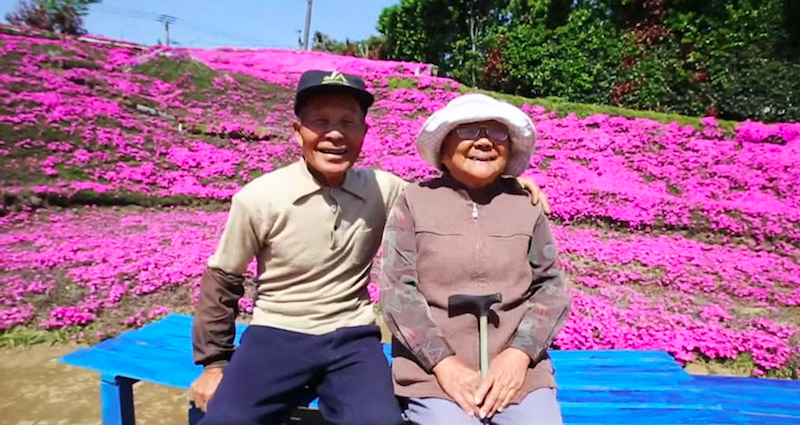 japanese husband plants flowers for his blind wife
