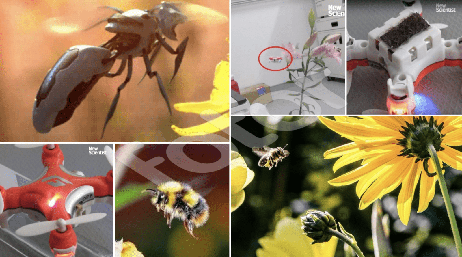 Scientists Create ‘Drone Bees’ That Can Actually Pollinate Flowers