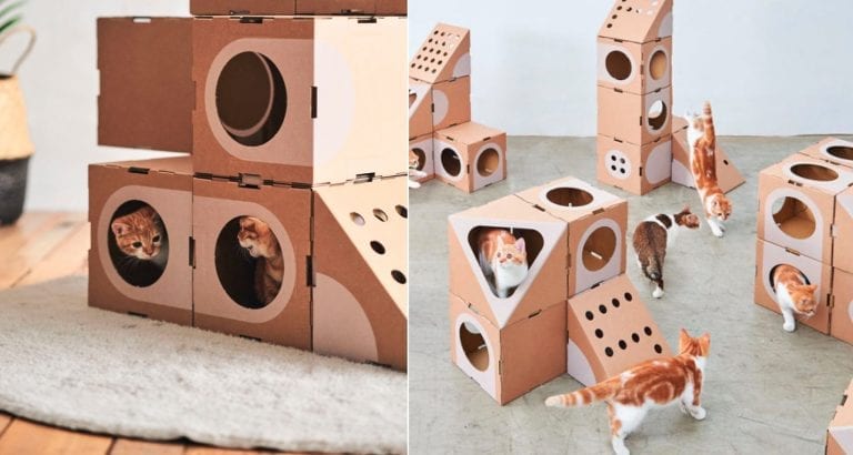 Taiwanese Couple Creates Awesome Cardboard Cat Forts That Cats Go Crazy For