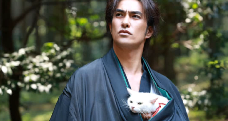There Was A Tv Show In Japan Called Samurai Cat And It S Worth A Peek
