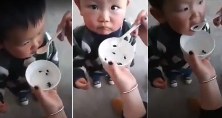 Chinese Mother Feeds Live Tadpoles to Her Son Thinking It is Healthy – Science Greatly Disagrees