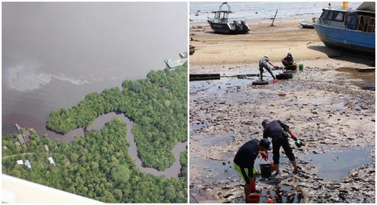 Indonesian Company Admits to Causing Oil Spill the Size of Paris in Borneo