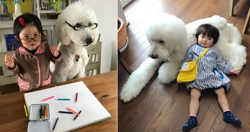 This Little Girl and Her Giant Poodle are Everyone’s #FriendshipGoals