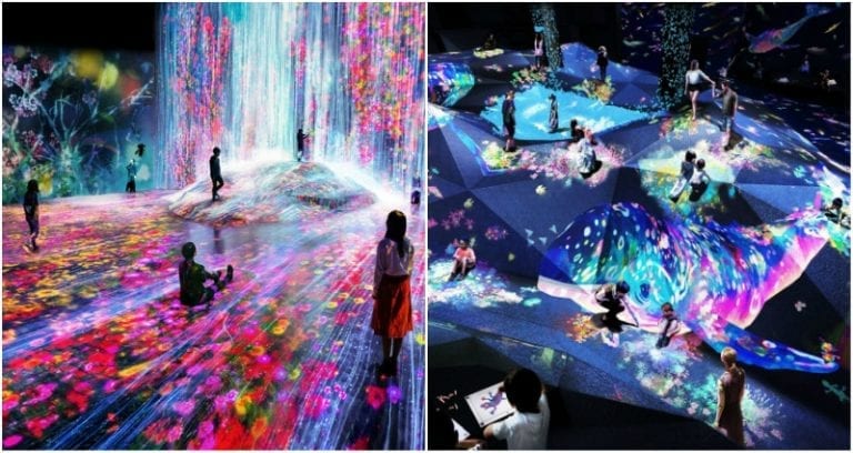 New Museum in Japan Might Be the Coolest Place to Go to on LSD