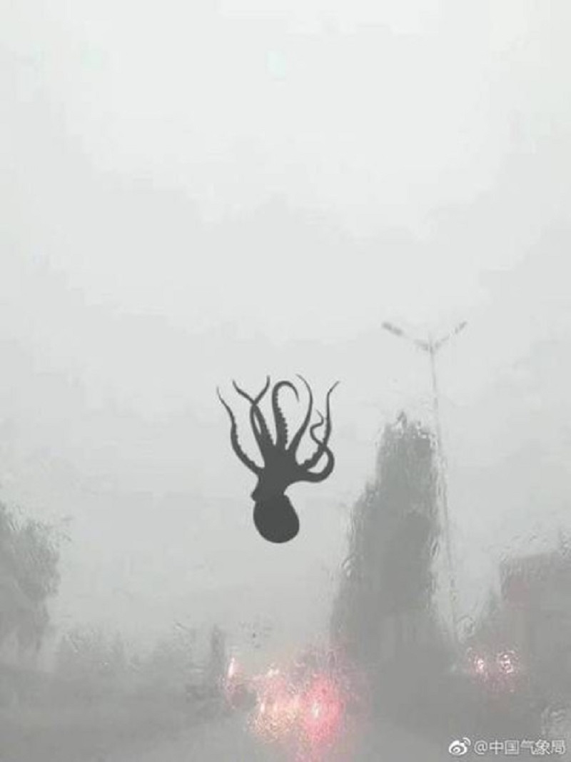 epic-storm-in-chinese-city-literally-makes-sea-creatures-rain-from-the