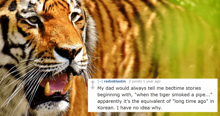16 Asian Proverbs That Will Make You Wise AF