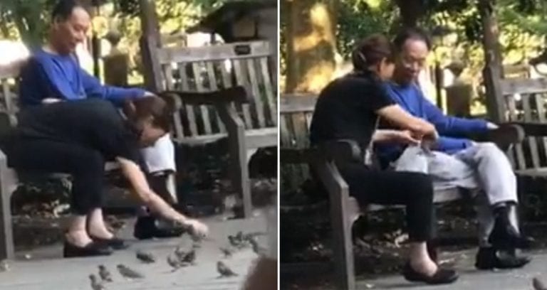 Couple Caught on Video ‘Birdnapping’ at Philadelphia Park