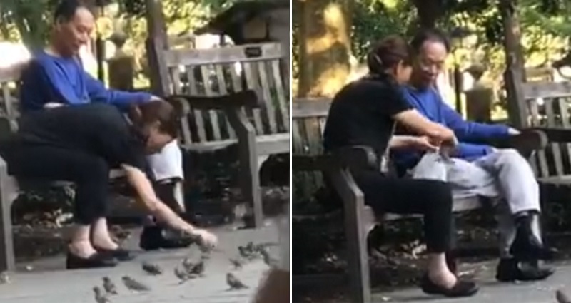 Couple Caught on Video ‘Birdnapping’ at Philadelphia Park