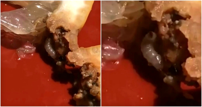Sushi Restaurant Manager Resigns After Customer Finds Maggot in Lemon Wedge