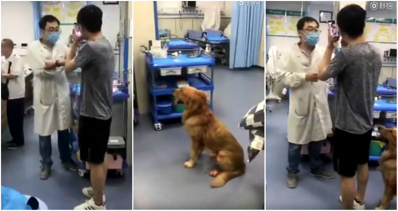 Man in China Threatens to Kill Doctor at Hospital If He Doesn’t Treat His Dog