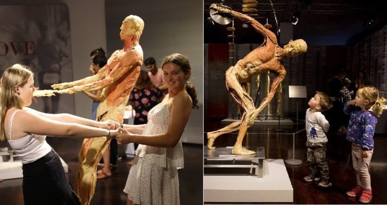 Human Cadavers From ‘Real Bodies’ Exhibit Could Be Executed Chinese Prisoners, Doctor Says